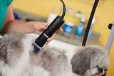 Andis Pet Small Dog Cat Clipper Combs 9-Piece Set 12860