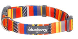 Blueberry Pet Essentials 4 Patterns Rainbow Stripe Color Dog Collar Nautical Flags X-Small