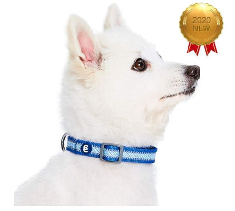 Blueberry Pet Essentials Adjustable Neck Dog Collar Reflective Navy Blue 12  to 16-Inch Small