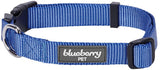 Blueberry Pet Essentials Classic Neck Dog Collar Marina Blue 12 to 16-Inch Small