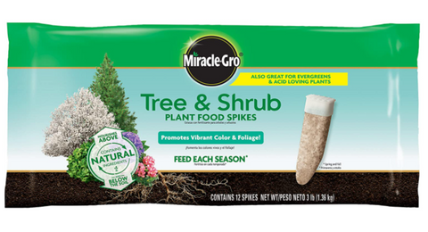 Miracle-Gro Tree & Shrub Evergreens Acid Loving Plant Food 12 Spikes