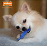 Nylabone 3-PC Dog Dental Chew & Flexi Bone Bacon Flavor for Small Dog