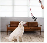 Outward Hound Beginner Dog Tail Teaser Play Wand Training Flirt Pole