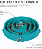 Outward Hound Dog Bowl Interactive Slow Feed Bloat Stop Fun Feeder