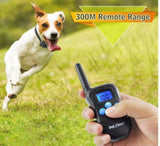 Petrainer PET998DBB Waterproof Rechargeable Dog Training Collar