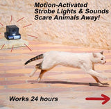 PestAway Ultrasonic Animals Repeller Cats Dogs Repellent Deterrent with Motion Sensor